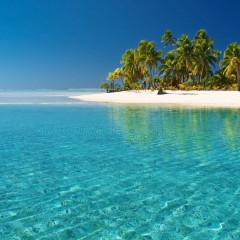 Et si on allait se réchauffer sous le soleil de la Guadeloupe ?