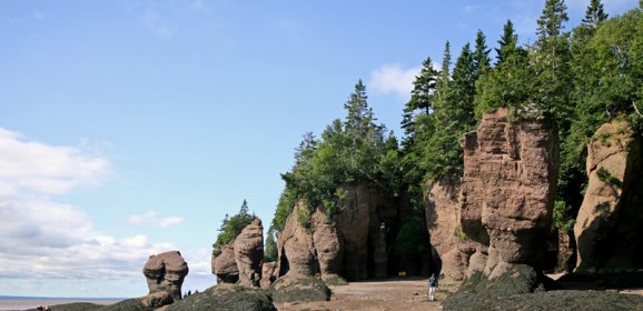 Rochers Hopewell, un lieu privilégié pour les passionnés de la nature