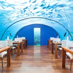 Ithaa, le restaurant-aquarium des Maldives