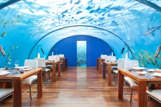 Ithaa, le restaurant-aquarium des Maldives