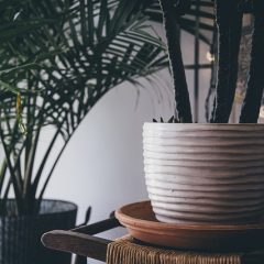 Faire sa décoration d’intérieur soi-même